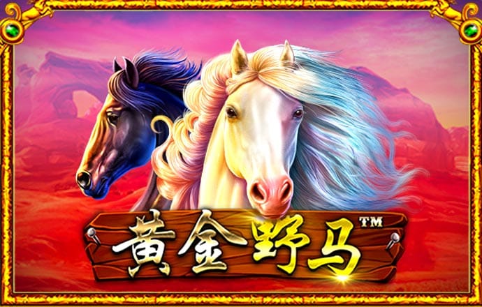 PJ722:COM-WWW:PJ722:COM下载